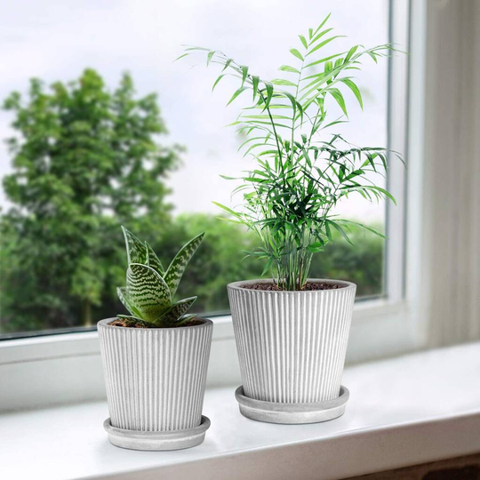 Pack Of Two Stripe Cement Plant Pot With Saucer