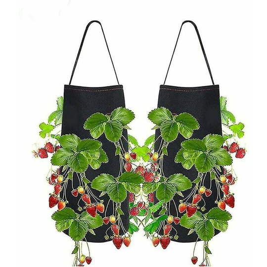 Bearsu - Strawberry planting bags. Set of 2 hanging strawberry planters. Premium Breathable Fabric Pot Container with Holes and Strap Handles for