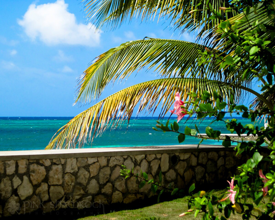 Tropical Paradise - Turquoise Water & Pink Hibiscus Print