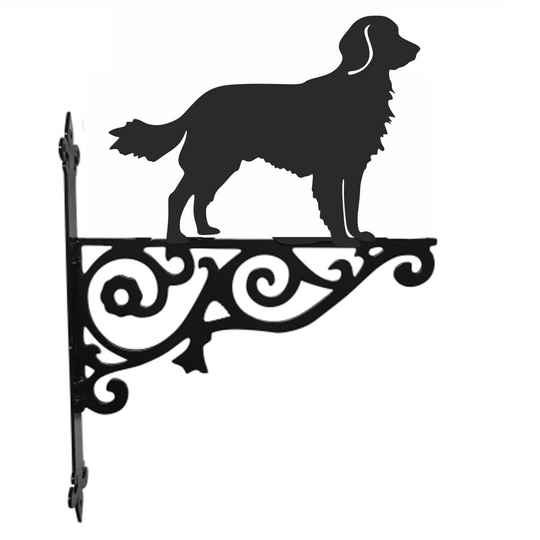 Large Munsterlander Ornamental Hanging Bracket - Contemporary Basket Wall Mounted Decorative Garden Black