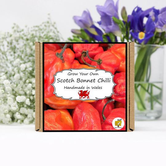 Grow Your Own Scotch Bonnet Chilli Plant Kit. Seeds Growing Kit. Gardening Gifts For Women, Men, Him, Her, Grandad & Children