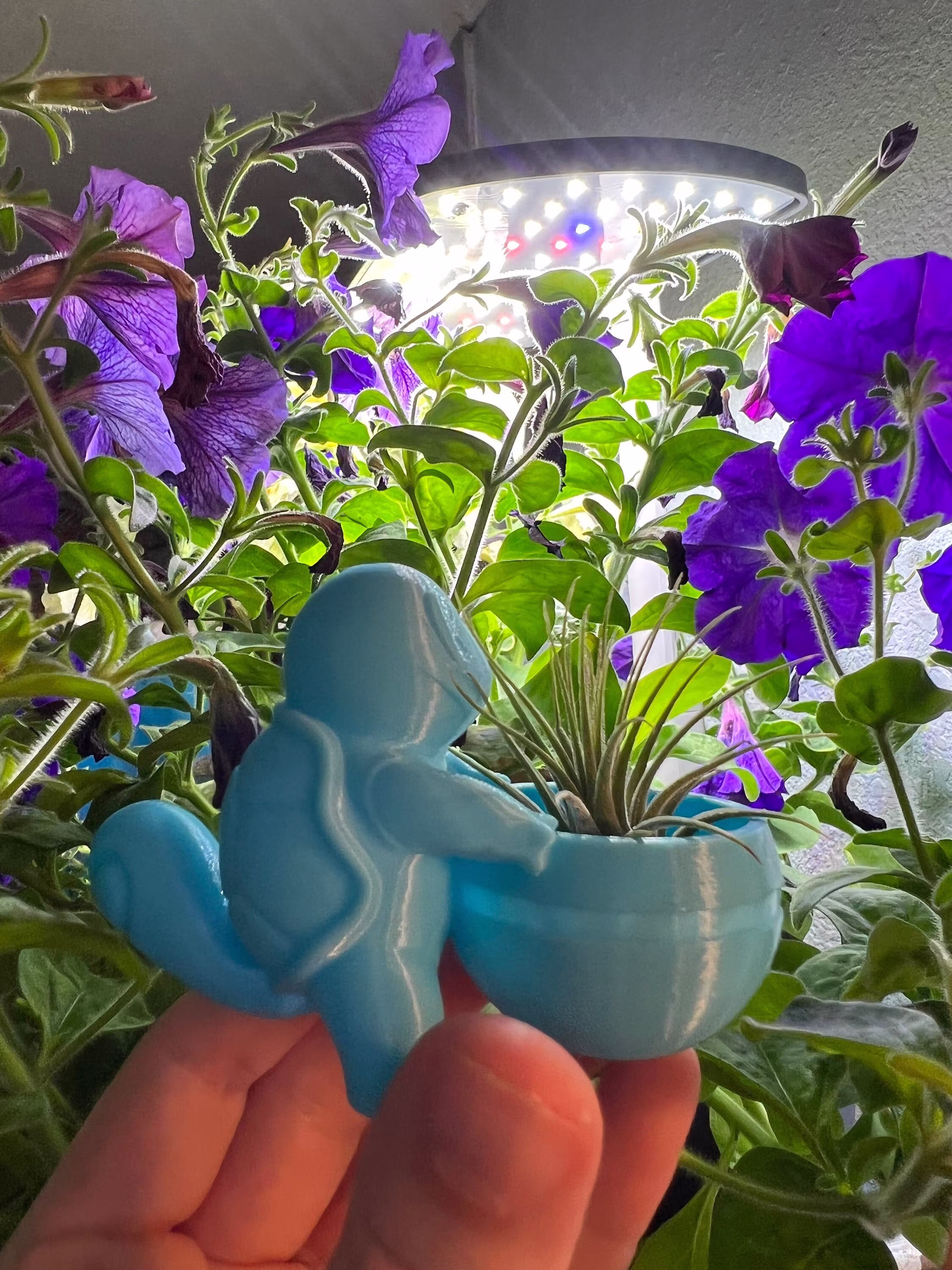 Squirtle Succulent Planter | Office Decor Home Modern 3D Printed With Drainage Indoor