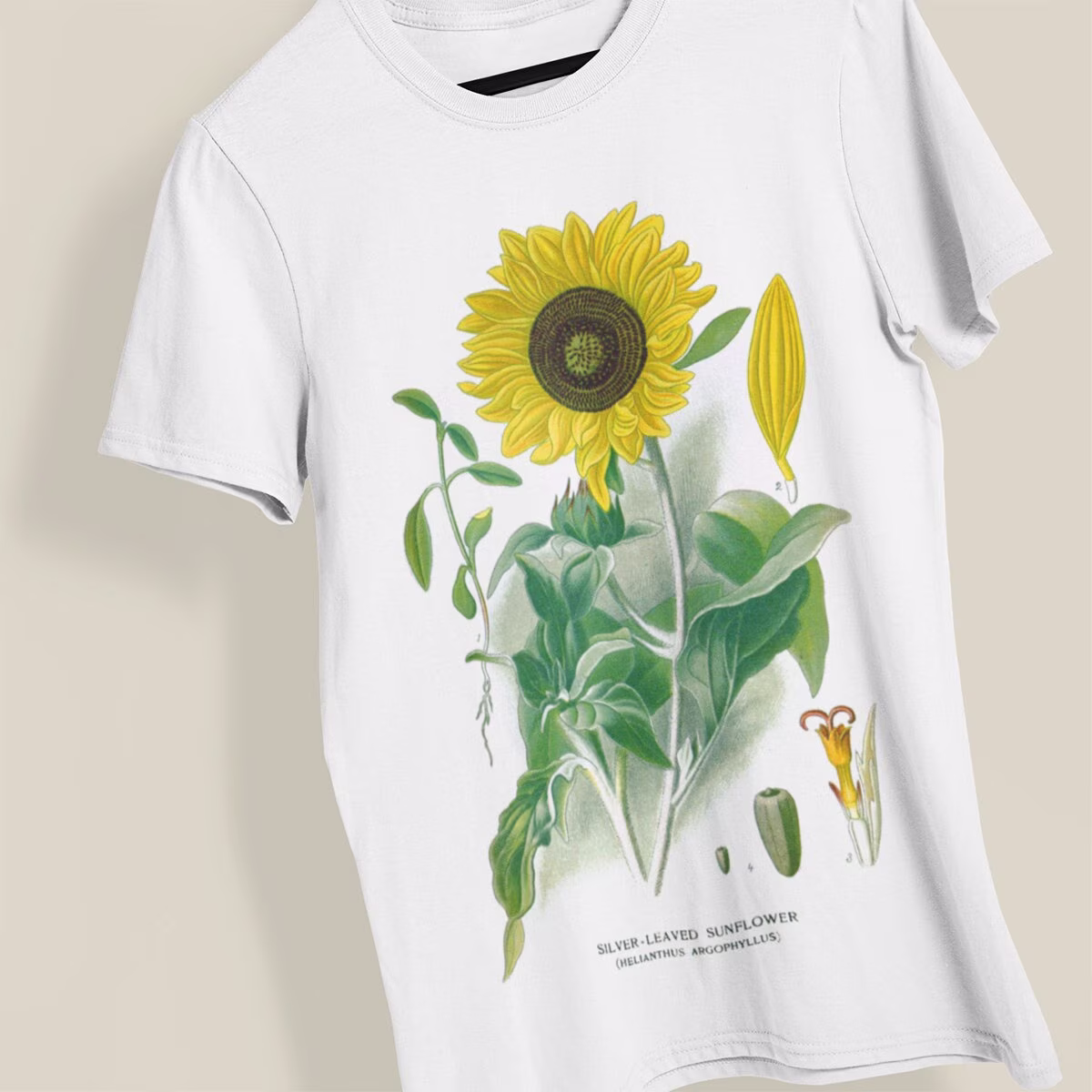 Silverleaf Sunflower | 1896 - Unisex Organic T-Shirt, Vintage Style Botany T-Shirt