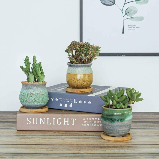 Set Of Six Multi Coloured Mini Ceramic Planters