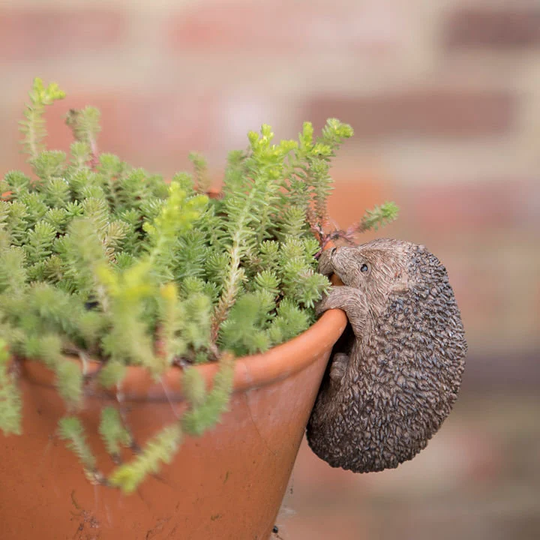 Little Mini Hedgehog Pot Hanger | Home & Garden Planter Ornaments Indoor Outdoor Perfect Festive Gift UK Florist