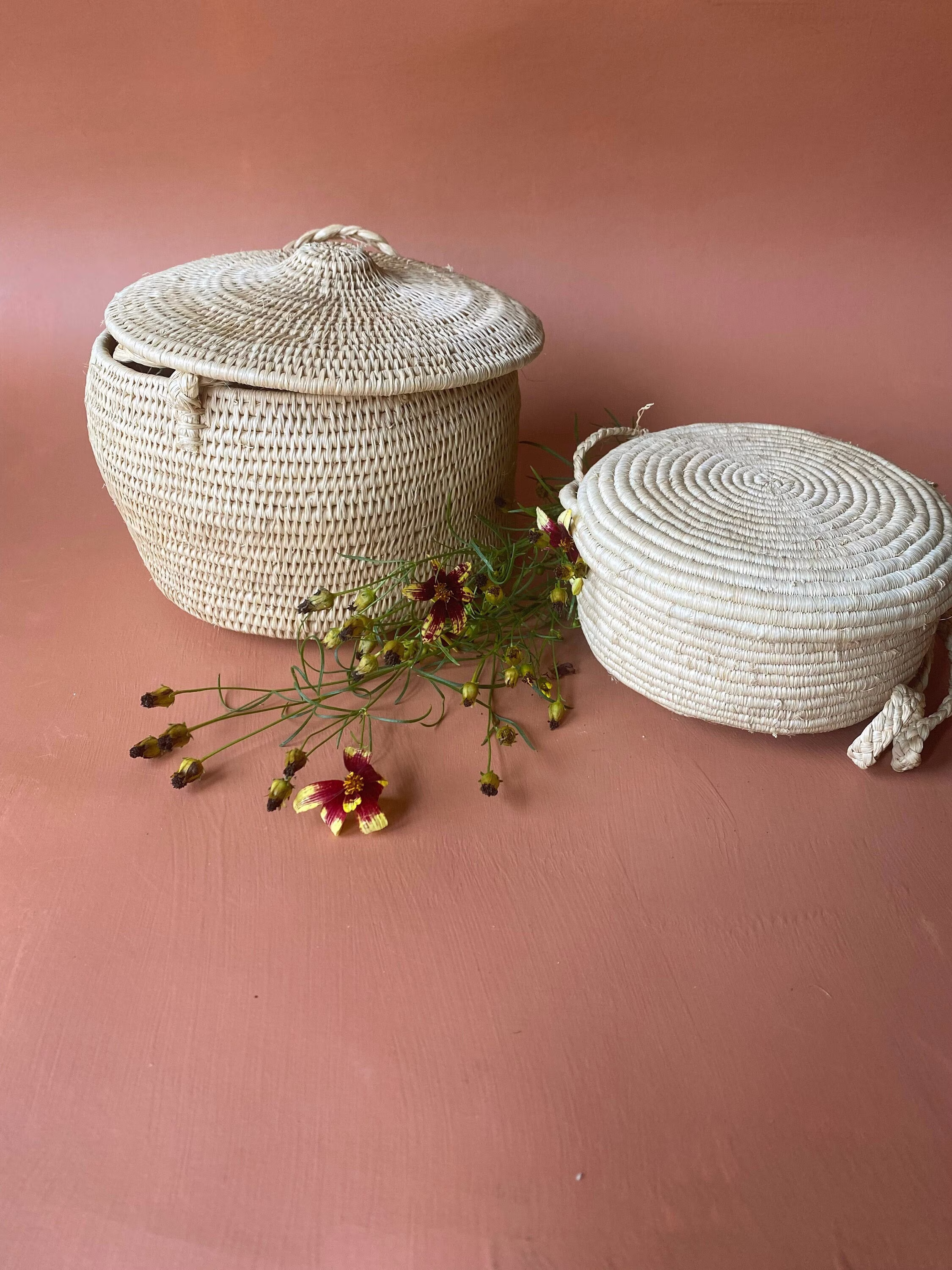 Pair Of Hanging Lidded Coil Baskets Natural Fiber Planters Or Fruit