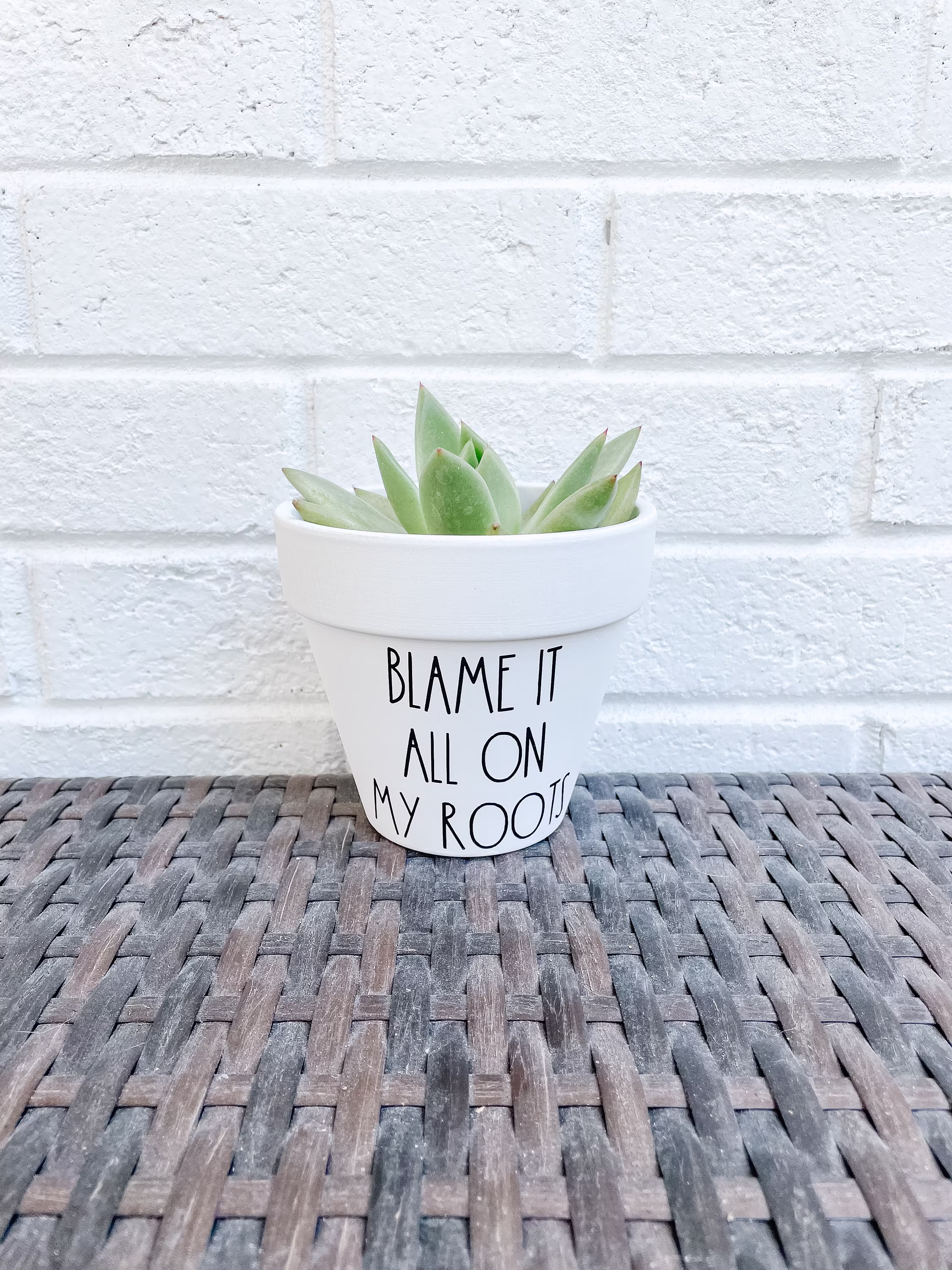 Blame It All On My Roots Plant Pot, Funny Punny Planter, Cute Gift Idea, Garden, Valentine's Gift, Anniversary