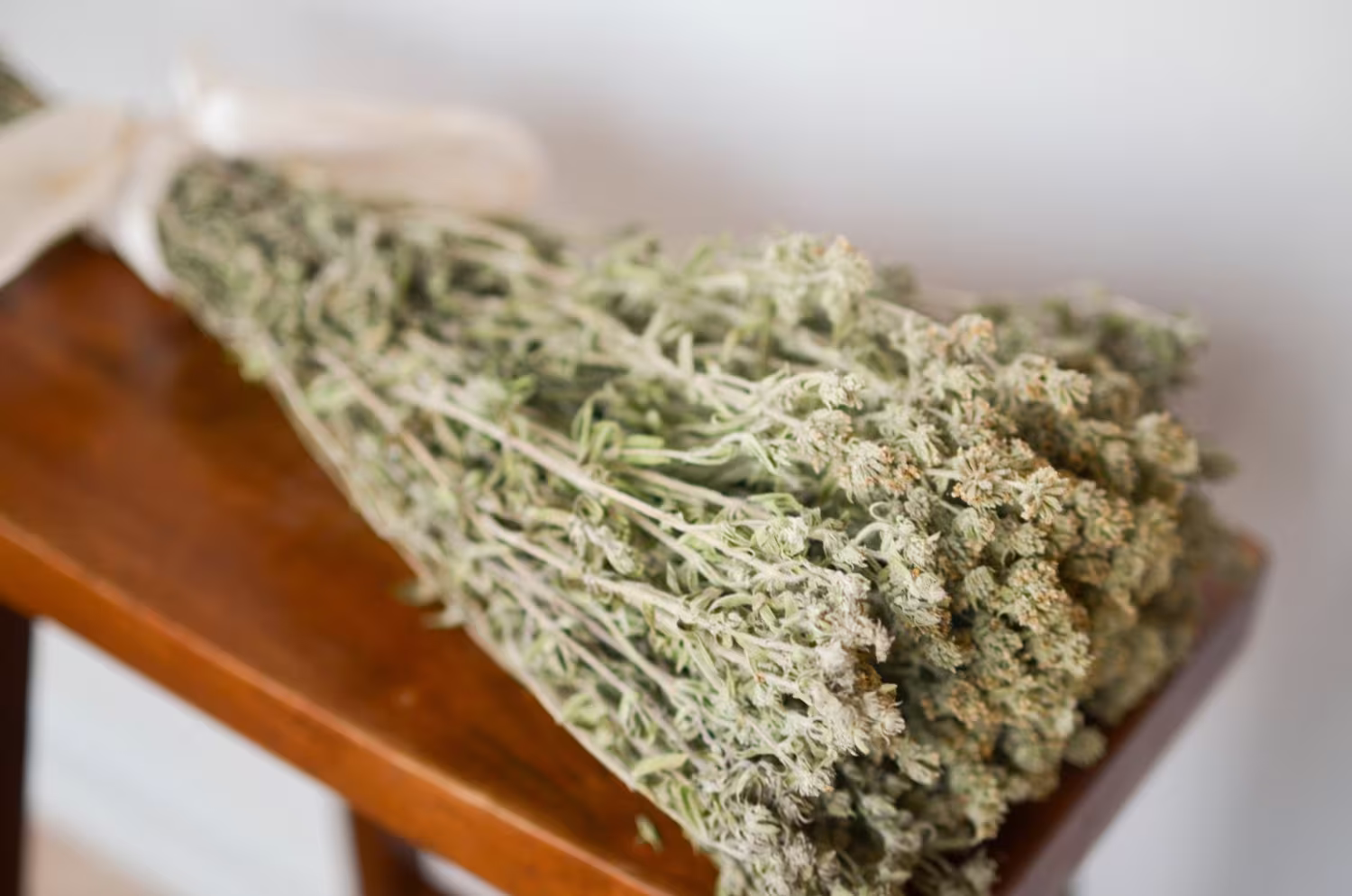 Mountain Mint, Dried Smudge Herbs, Supplies, Smudging Green Flowers, Fragrant Herb