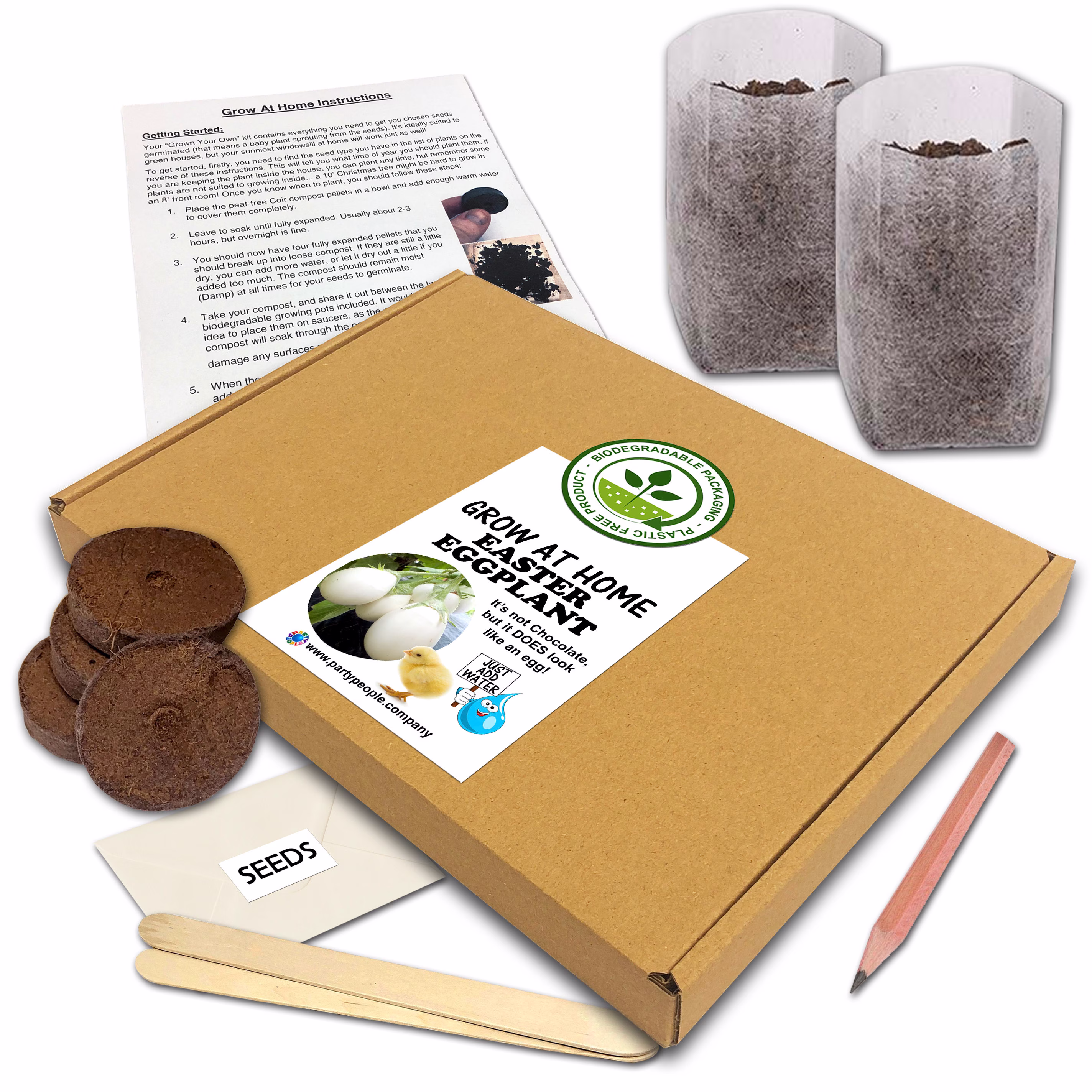Grow Your Own Easter Egg | Eggplant Kit | Flat Pack At Home - Ideal Birthday Gift, Great Fathers Day Gift