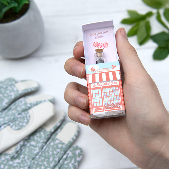 Grow Your Own Peppermint Sweets Gift, Kit, Miniature Village, Kids Stocking Filler, Secret Santa Gift