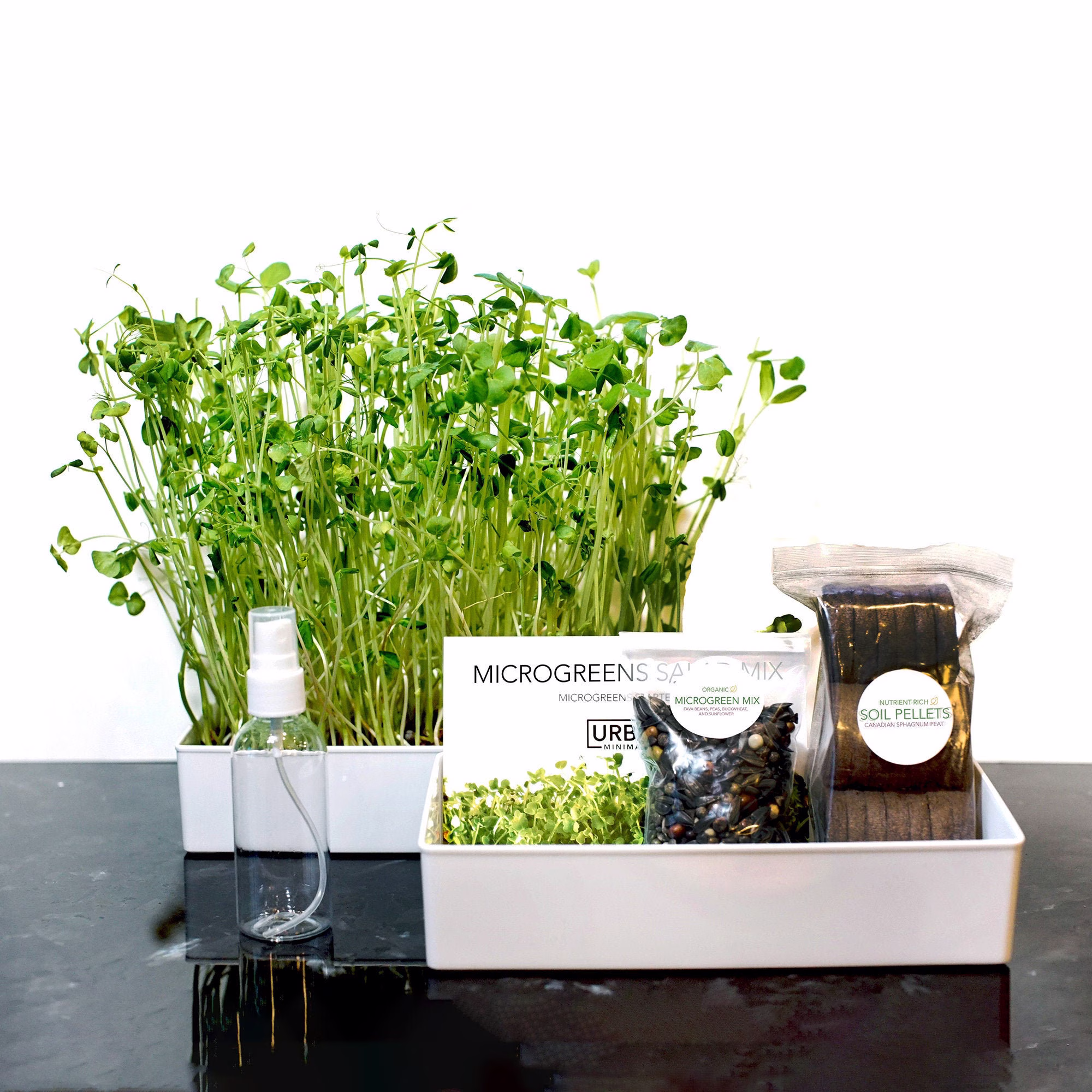 Microgreens Salad Mix Kit, Easy Grow Sprout Kit Organic Superfood, 4 Portions, Window Garden Growing Diy
