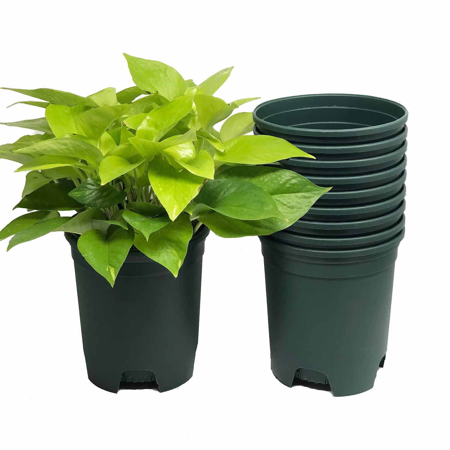 10-Pack 1 Gallon Nursery Pot Liners Plastic Planters For Outdoor Indoor Plants Gardening Flower Pots 6 Inch Wide With Drainage Holes