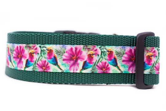 Tropical Hummingbird Dog Collar - 1.5 Inch Wide Buckle Or Martingale Collar Nature Hawaiian Floral Dog Hibiscus Birds
