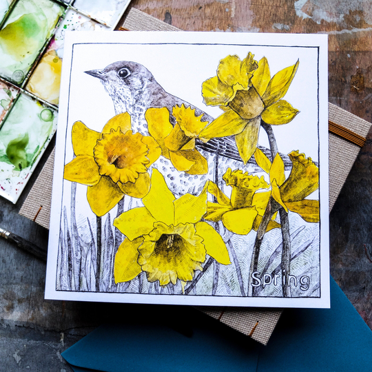 Spring Card - The Mistle Thrush in The Yellow Blank Inside, Seasons, Nature Lovers