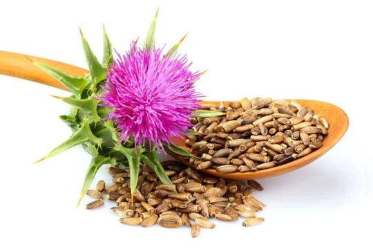Dried Organic Milk Thistle Seeds/Available From 2Oz-32Oz | 57G-907G