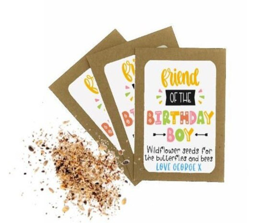 Personalised Birthday Seed Packets Envelopes With Seeds | Party Favour Boy Bag Gift Thank You