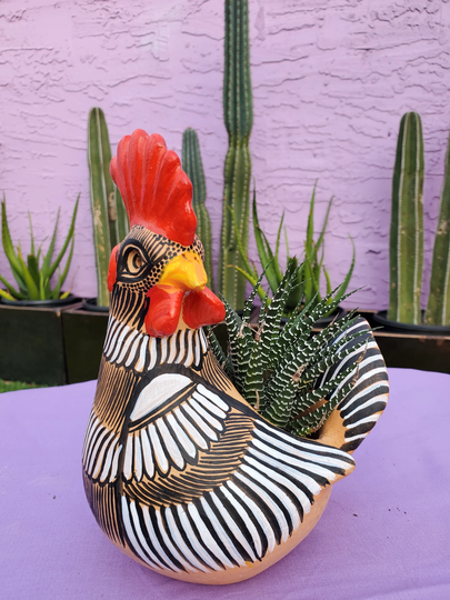 Rooster/Chicken Planter 8 Inch Or 11 Inches