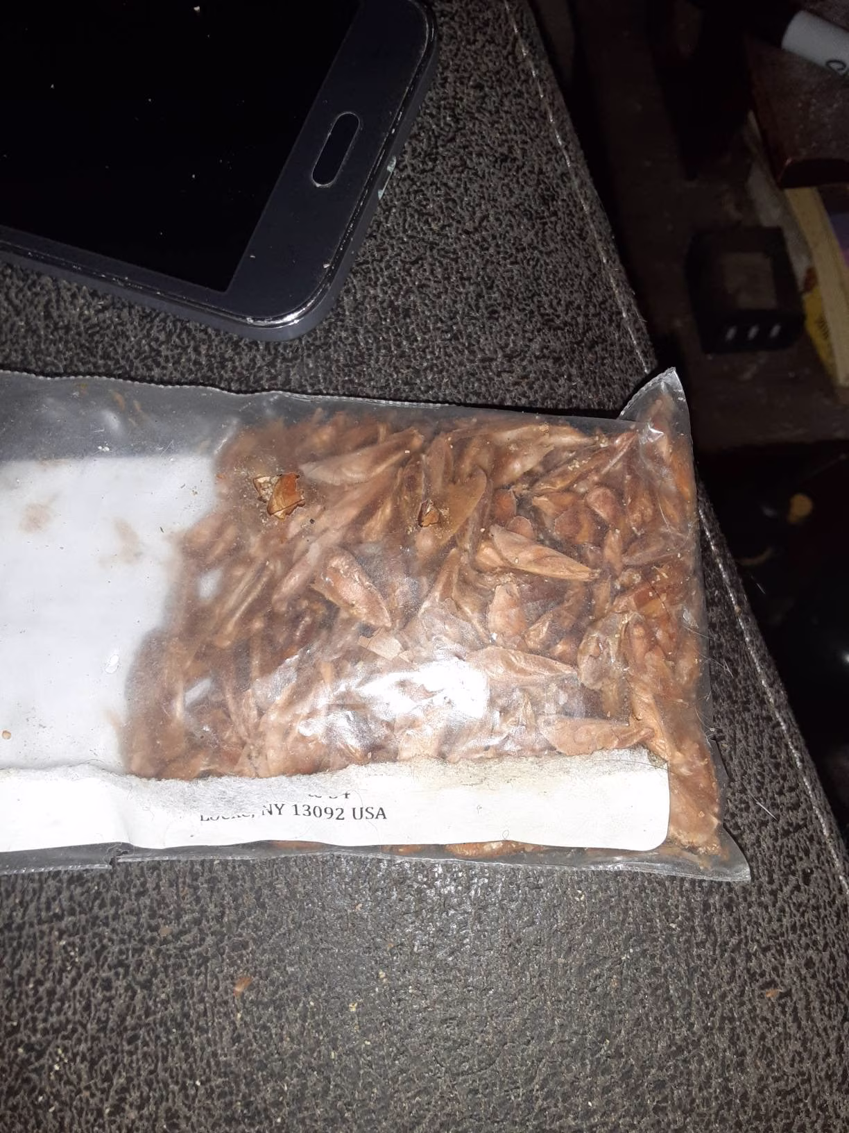 California Red Fir Tree Seeds