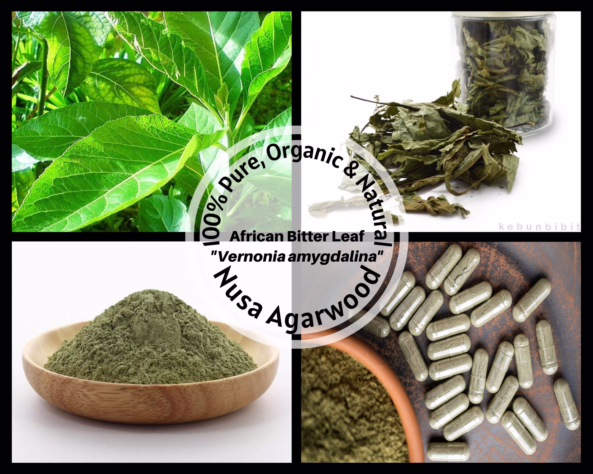 Dried Leaves/Powder/Capsule - African Bitter Leaf/Bitter-Tea/Vernonia Tree/Ewuro/Etidot/Vernonia Amygdalina Organic 100% Non Gmo Fresh Tea