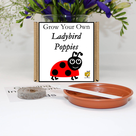 Grow Your Own Ladybird Poppy Flowers Gift Set