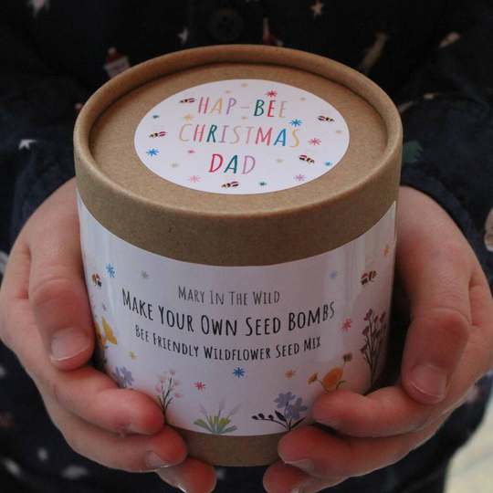 Dad's Christmas Make Your Own Bee Seed Bomb Kit