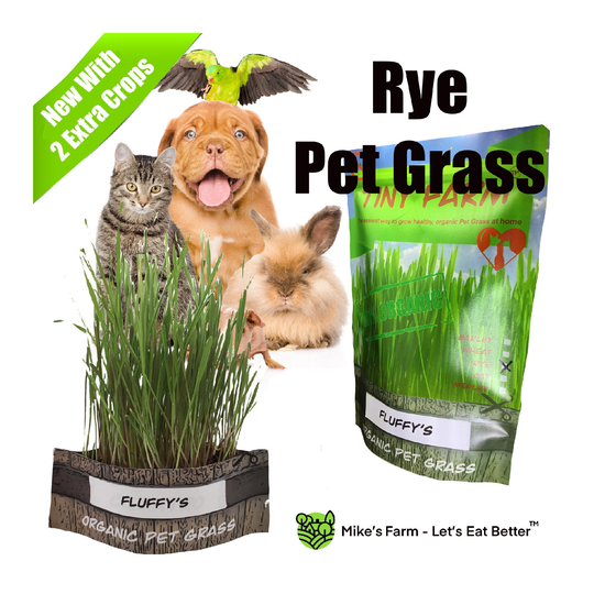 Organic Rye Pet Grass - Grow Your Own Healthy, Organic Pet Grass. Kit Includes Everything To Grow 3 Batches