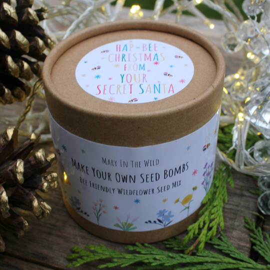Secret Santa Christmas Make Your Own Bee Seed Bomb Kit