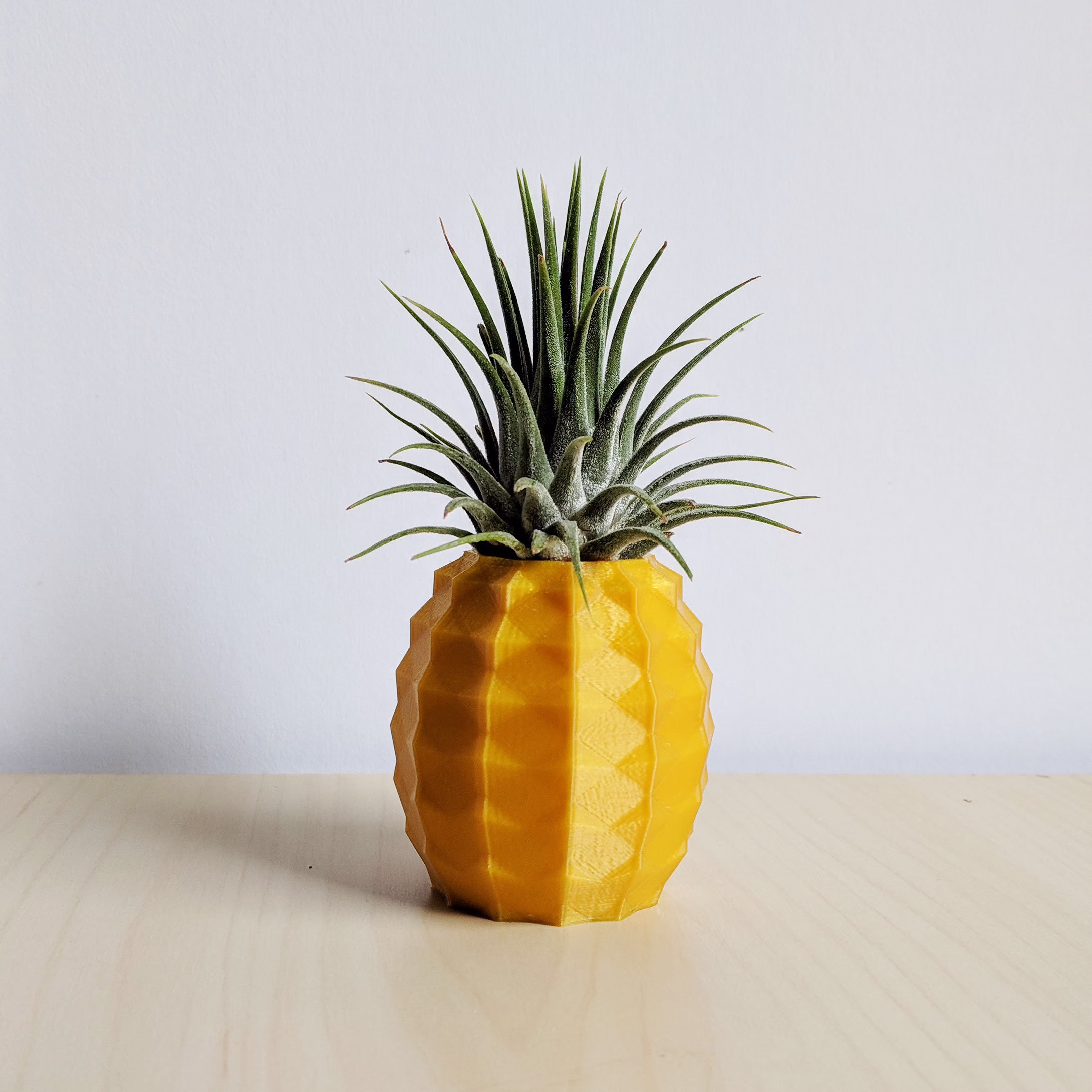Pineapple Air Plant Holder As A Gift For Her, Him, Gold Airplant, Printapot Planter, Container