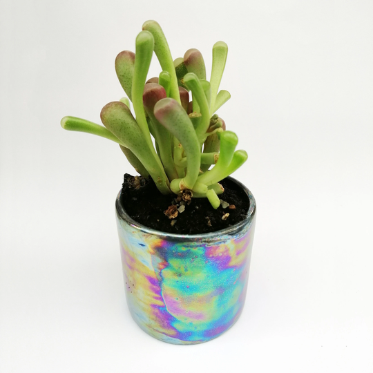 Iridescent Succulent Pot, Cactus Planter, Ceramic Planter, Christmas Gift , Mini Plant Pots Black Modern Pot