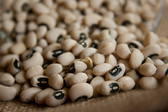 50 Organic California Black Eyed Pea Seeds, Vigna Unguiculata