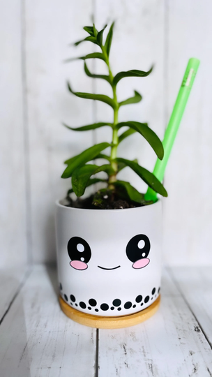 Boba Tea Plant Pot, Small Pencil Holder, Succulent/Flower Pot Planter For Indoors/Outdoors, Home/Office Desk Decor, With Drainage