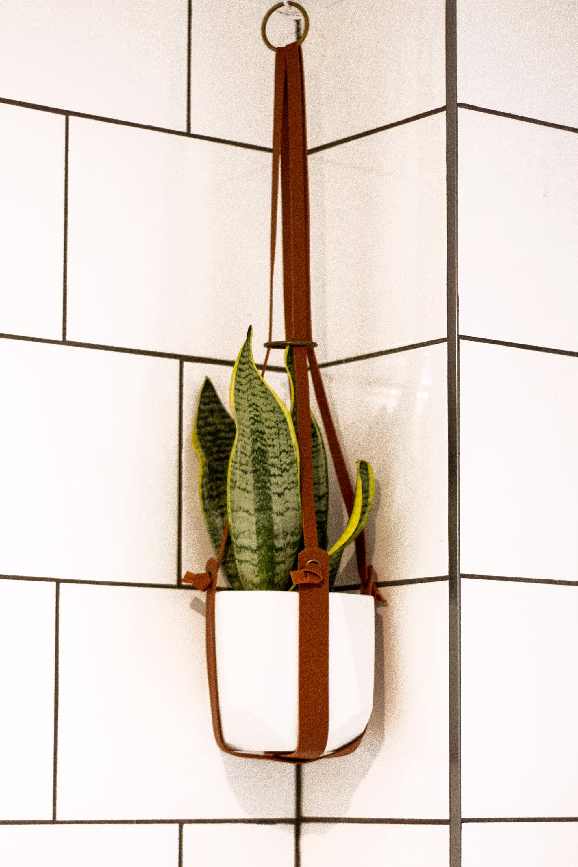 Vegan Leather Plant Hanger