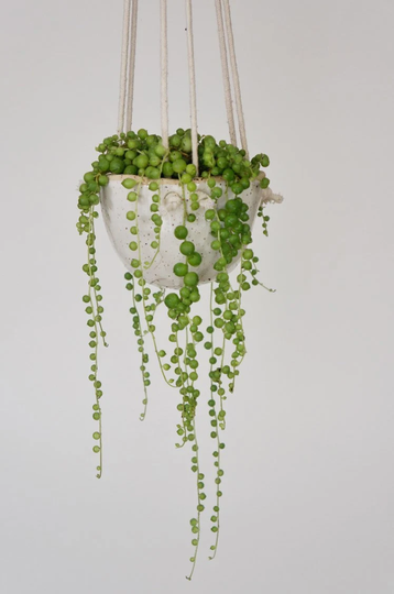 Natürel Knotty - Hanging Planter