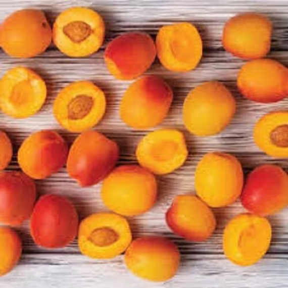 25 X Apricot Tree Seeds | Prunus Armenaica Fruit