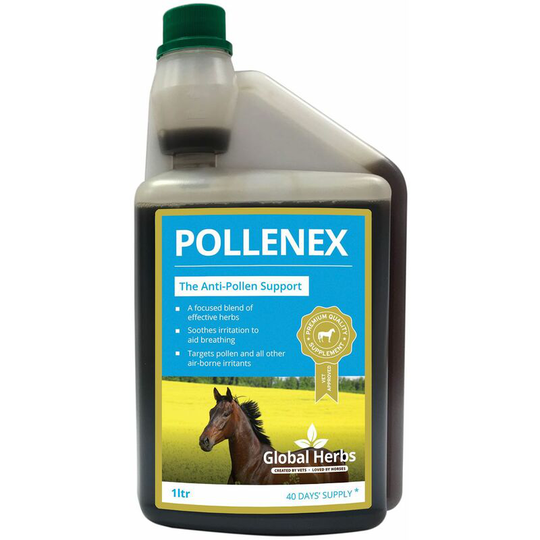 Global Herbs - Pollenex - 1 Lt - POLLENEXSYRUP1L