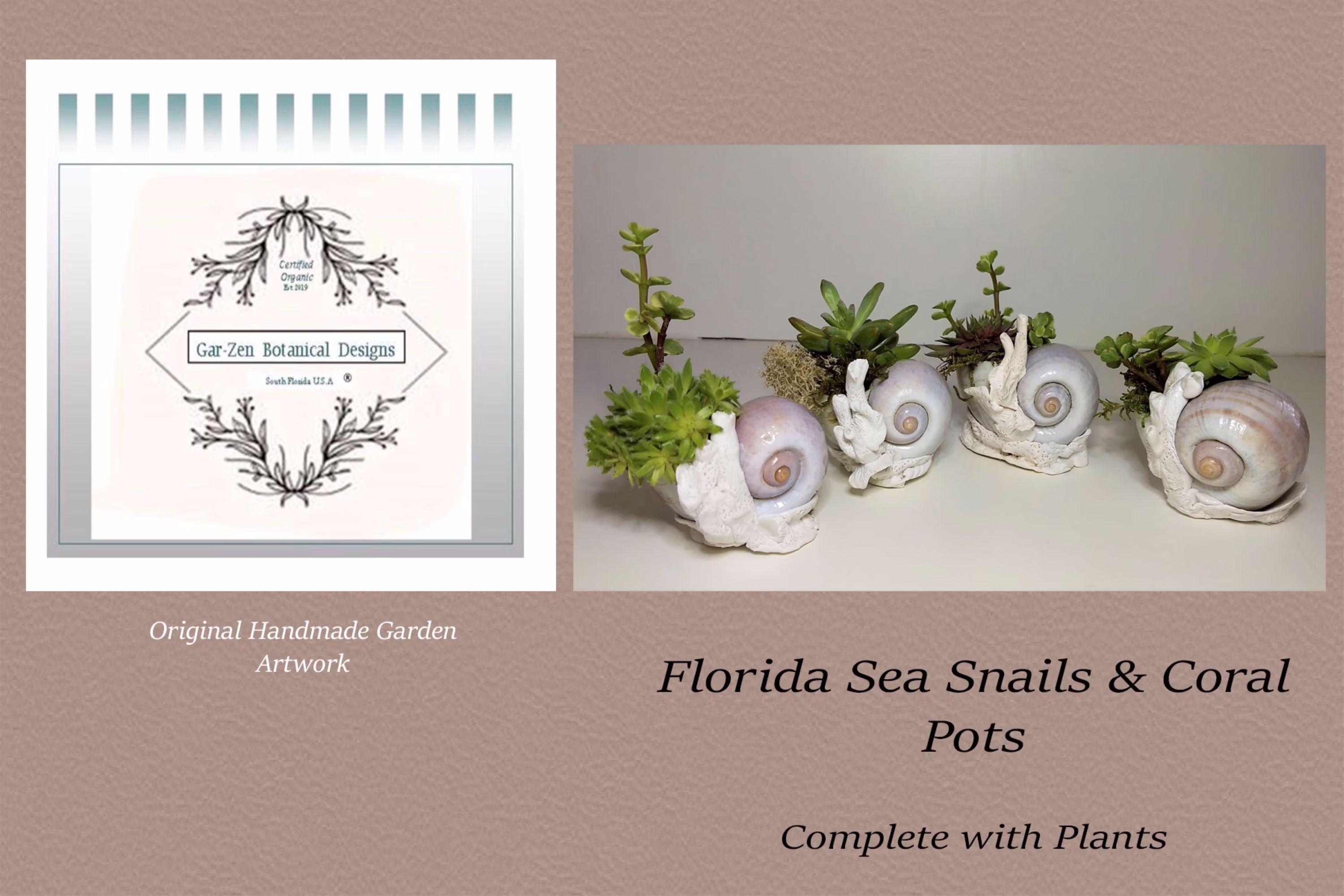Shell Planter With Plants Included Ships Free