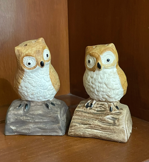 Vintage Owl Salt & Pepper Shaker Set, Salt Pepper Shakers