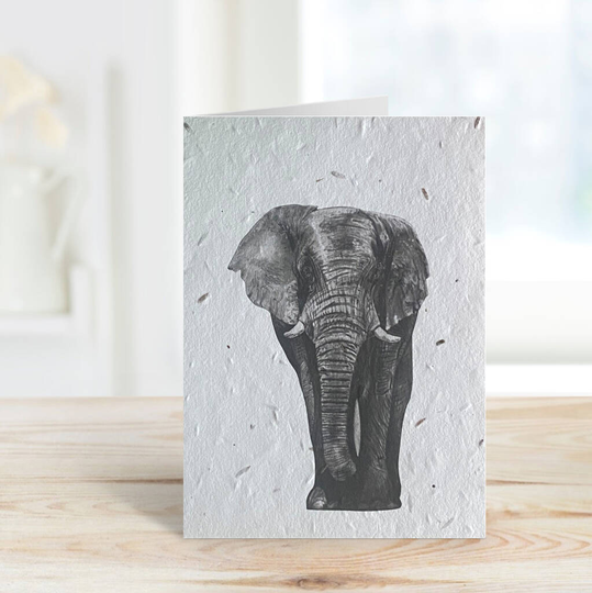 Atik The Elephant Plantable Seeded Greeting Card