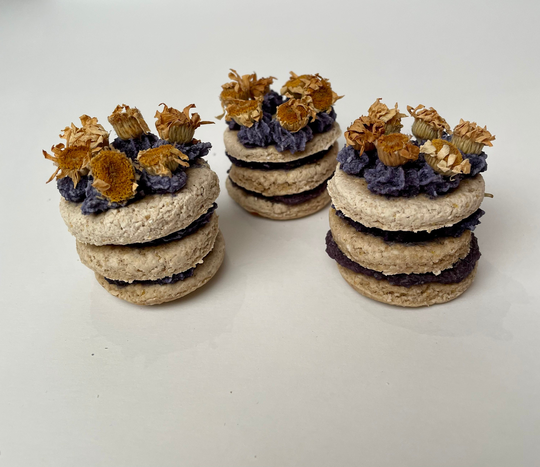 Chamomile Celebration Cake - Apple Cakes For Bunnies, Fancy Birthday Rats & Guinea Pigs, Luxurious Small Pet Party