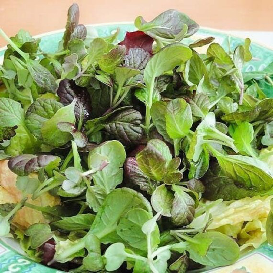 Rare Original Vegetable Seeds Mustard "Salad