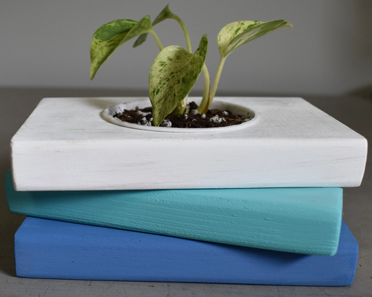 White & Blue Wooden Book Stack Planter, Summer Desk Accessory, Housewarming Gift, Lover Plant Cottage Decoration