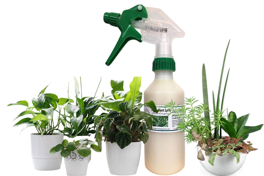 Natural Organic Plant Spray/Smells So Much Better Than Neem Oil Spray
