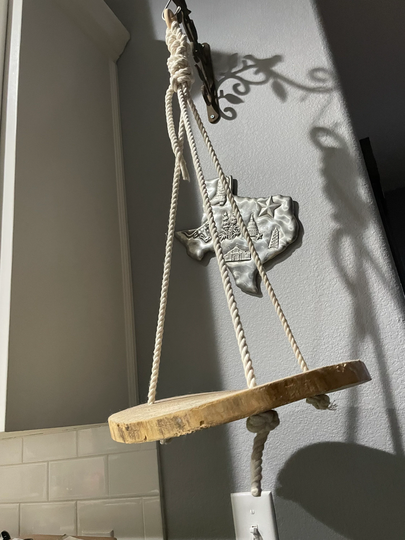Wood Slice Hanging Planter