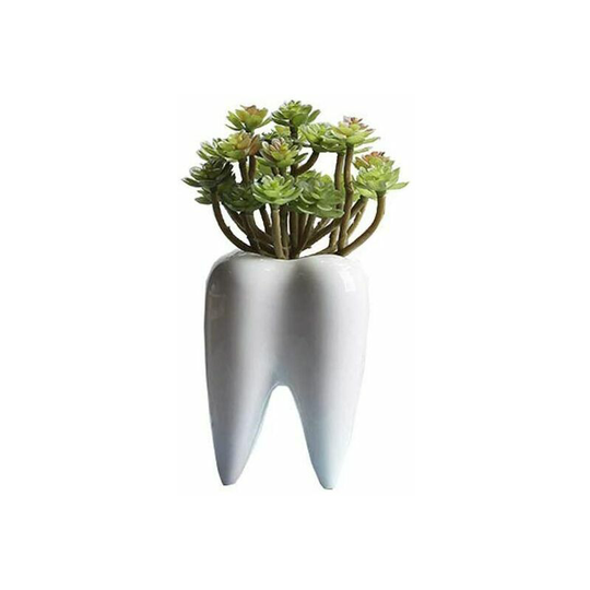 Naxunnn - White Cute Tooth Planter Pots Succulent Tooth Planter Pots Creative Ceramic Cactus Pots Mini Flower Plant Containers As Home And Office