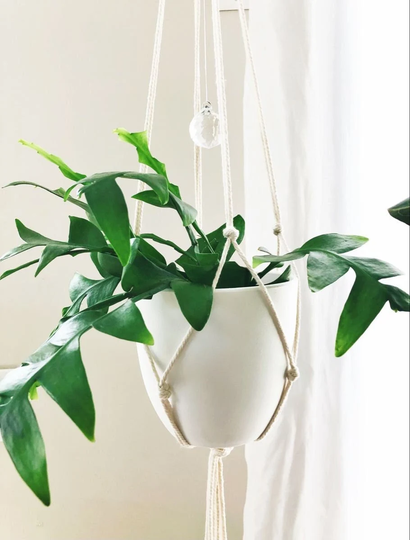 Suncatcher Plant Hanger, Crystal Gem Planter, Rainbow Maker, Macrame Houseplant Gift, Gifts, Hanging || Flora