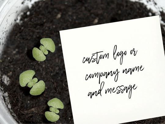 Custom Company Logo Or Personalised Name On Seed Packet For Your Event Let Love Grow Party Favours