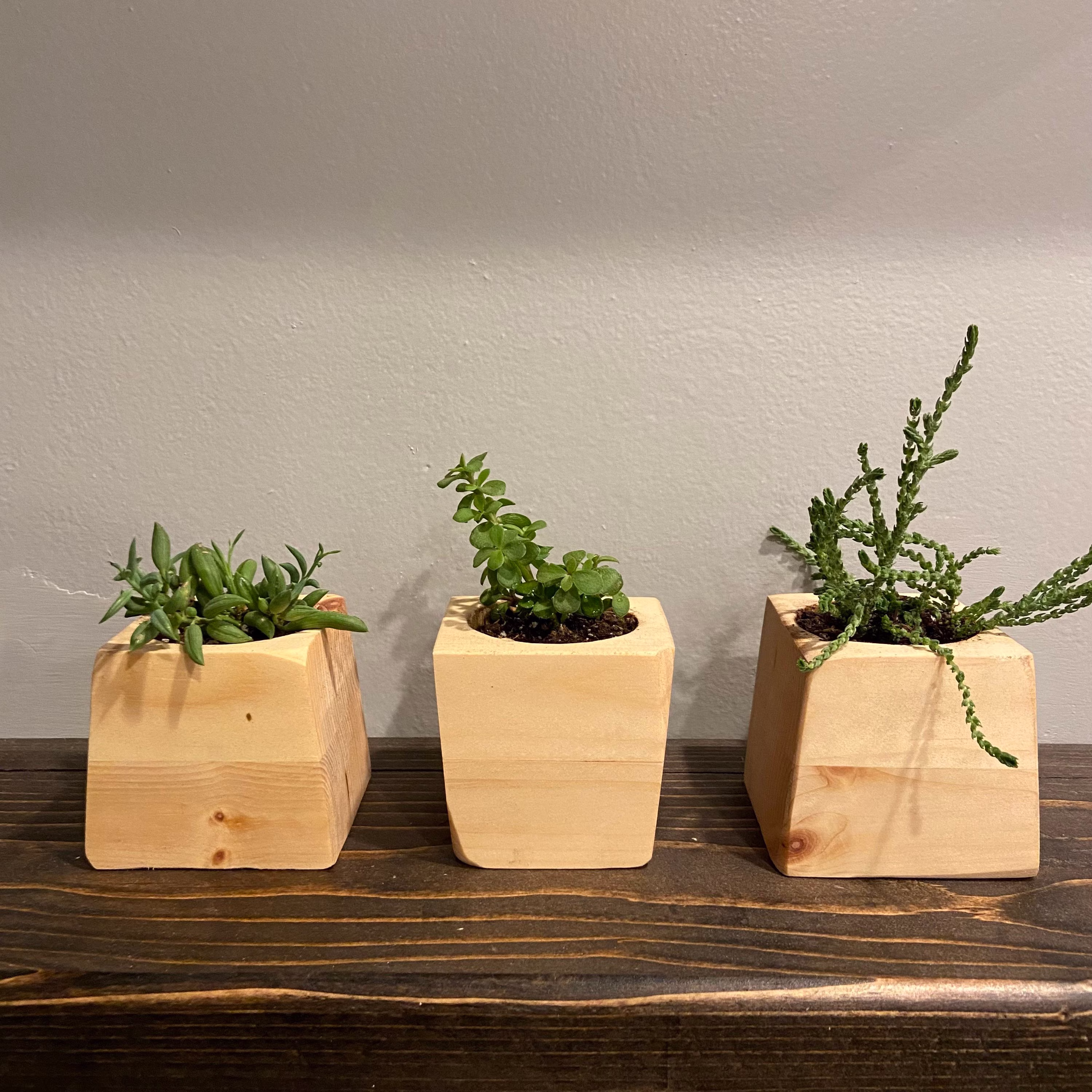 Geometric Succulent Planters - Set Of 3 | Indoor Potted Planter Handmade Wooden Home Decor