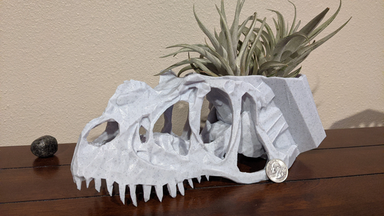 Large Dino Skull Planters -Ceratosaurus & Cryolophosaurus