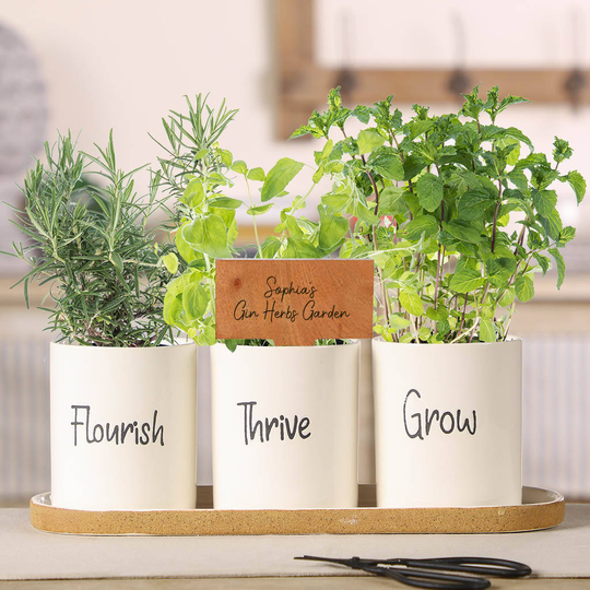 Ceramic Kitchen Herb Garden Planters