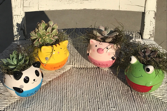 Cute Ceramic Animal Planters - Cat, Panda, Frog, Pig